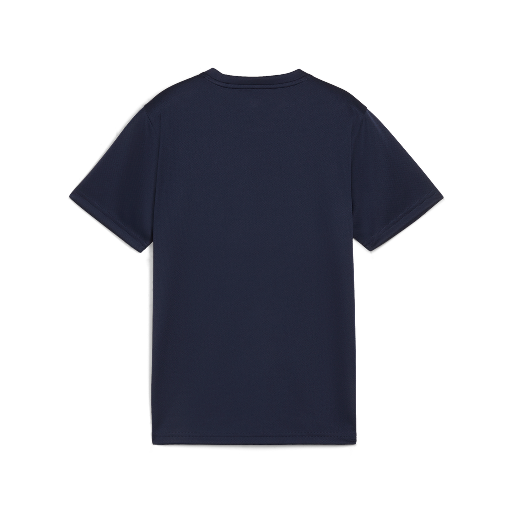 Teamgoal Trikot Jr Blau 06