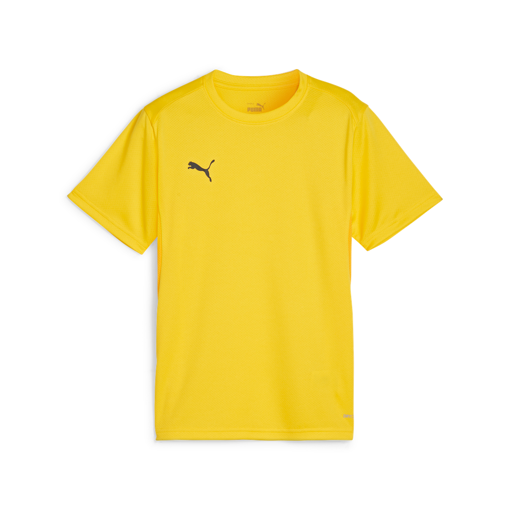 Teamgoal Trikot Jr Gelb