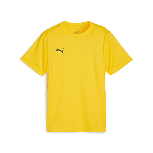 Teamgoal Trikot Jr Gelb