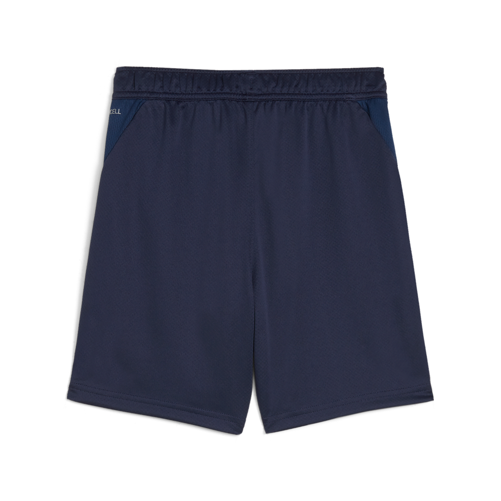 Teamgoal Training Short Jr Blau