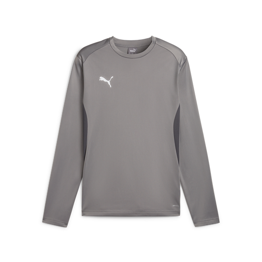 Teamgoal Trainingssweat Grau