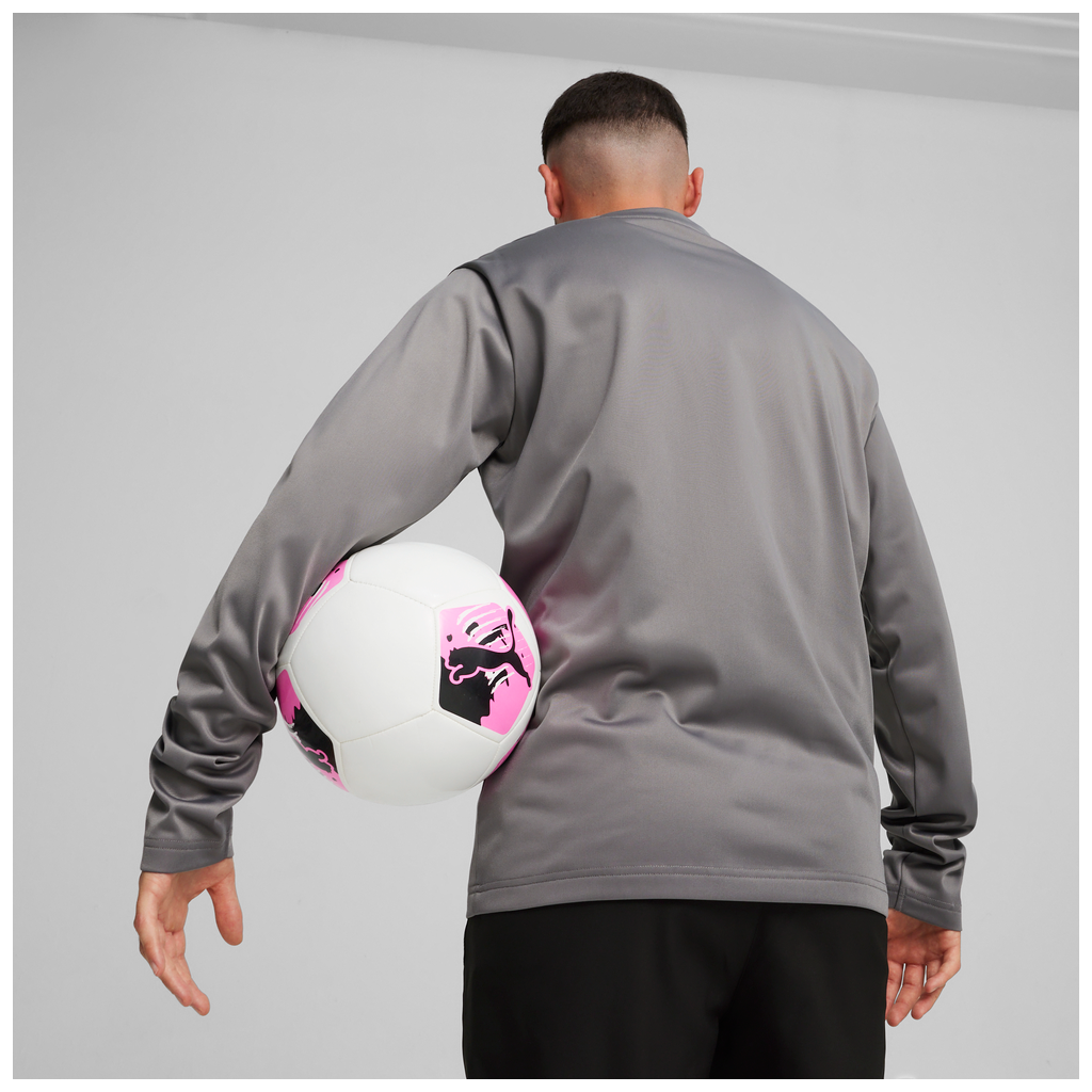 Teamgoal Trainingssweat Grau