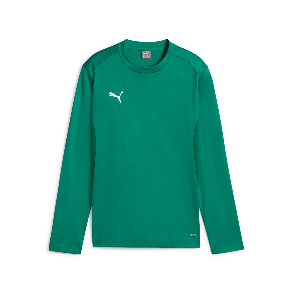 Teamgoal Training Sweat Jr Grün