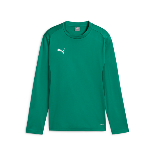Teamgoal Training Sweat Jr Grün