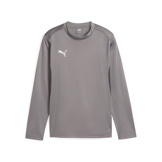 Teamgoal Training Sweat Jr Grau