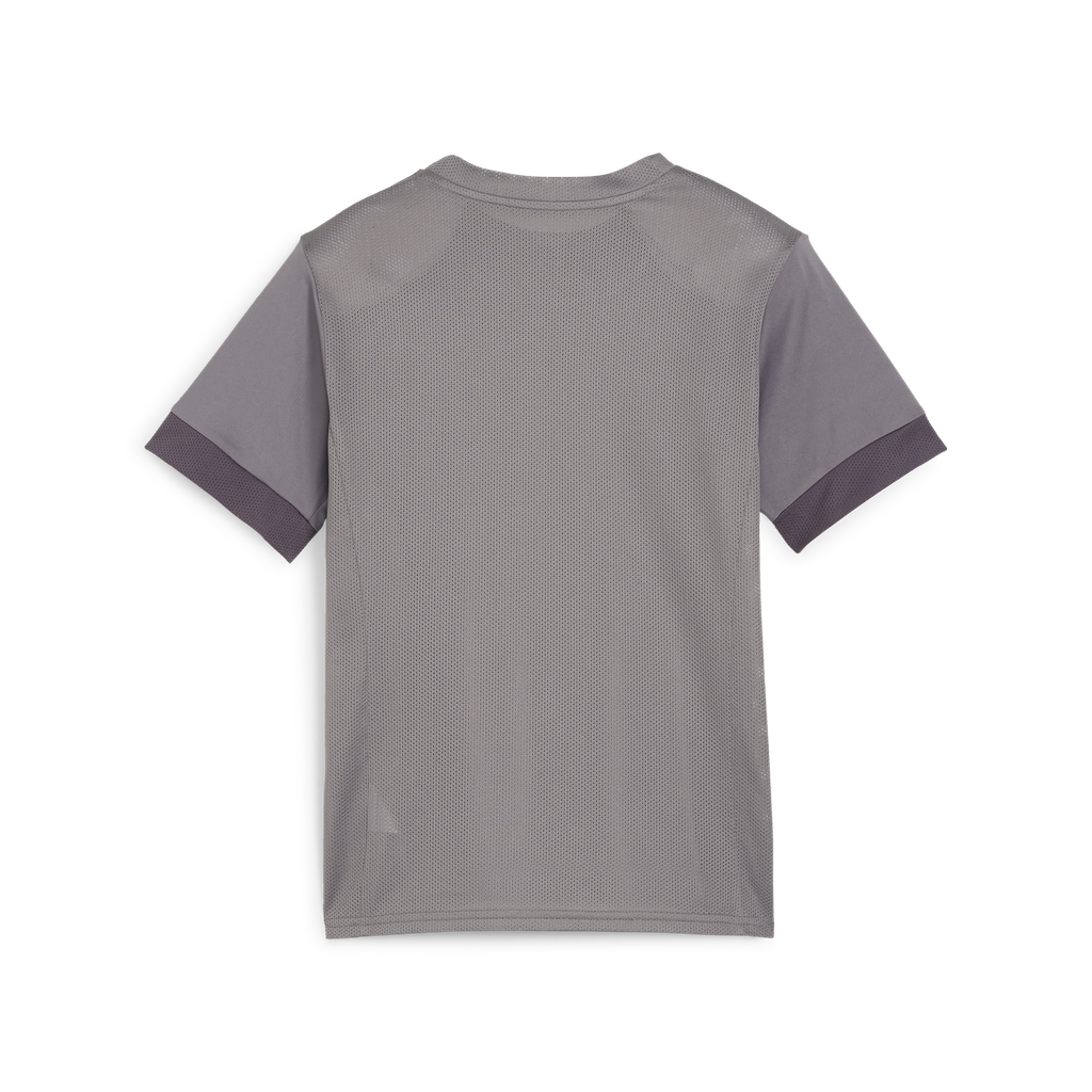 Teamgoal Matchday Jersey Jr Grau