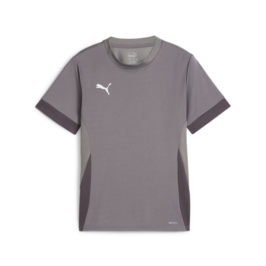 Teamgoal Matchday Jersey Jr Grau