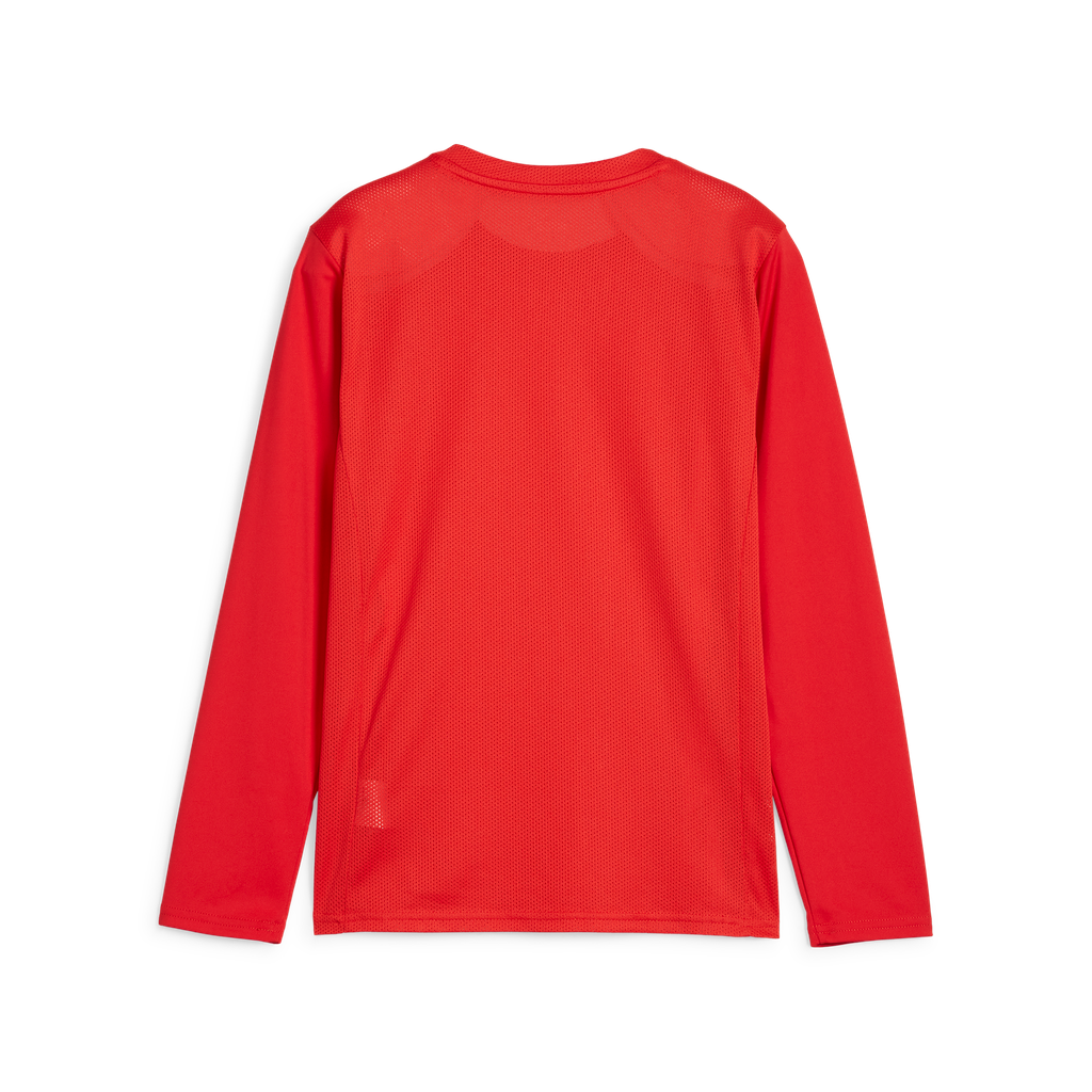 Teamgoal Ls Jersey Jr Rot