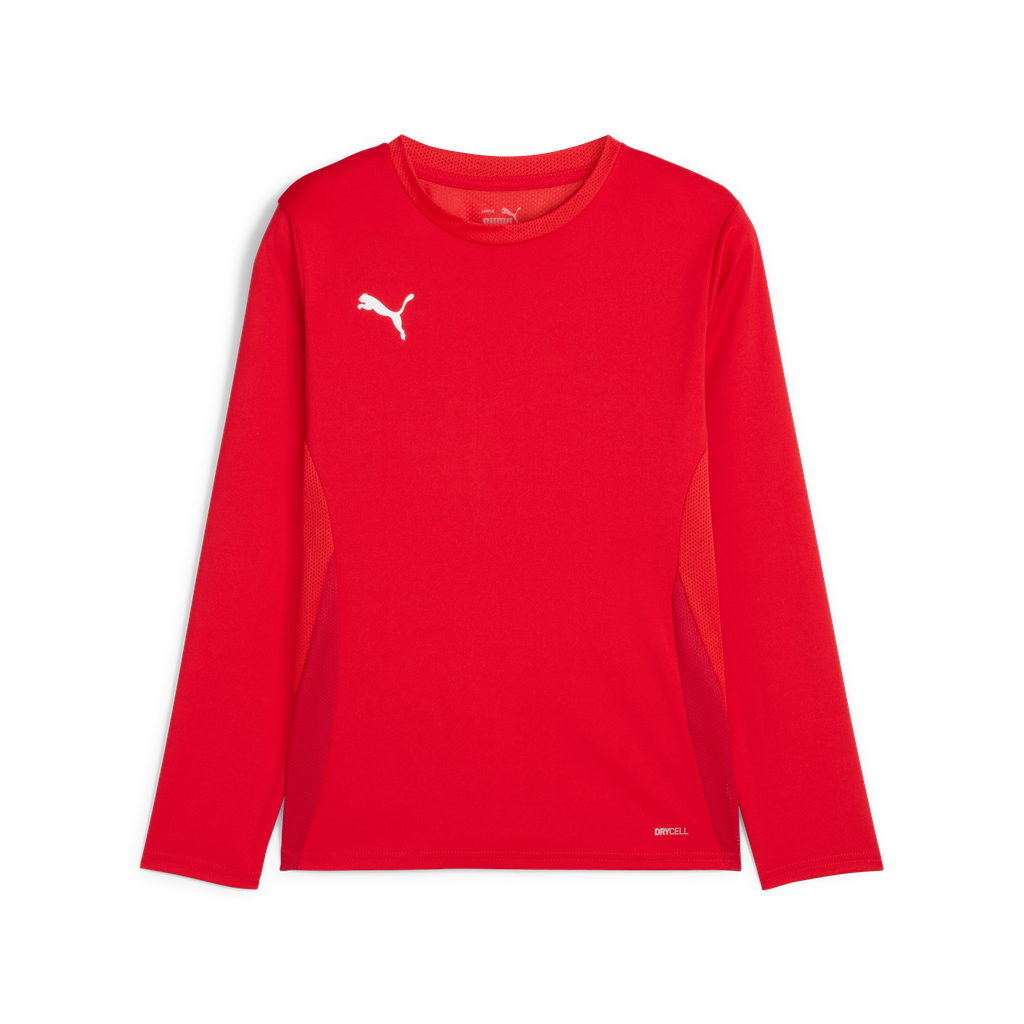 Teamgoal Ls Jersey Jr Rot