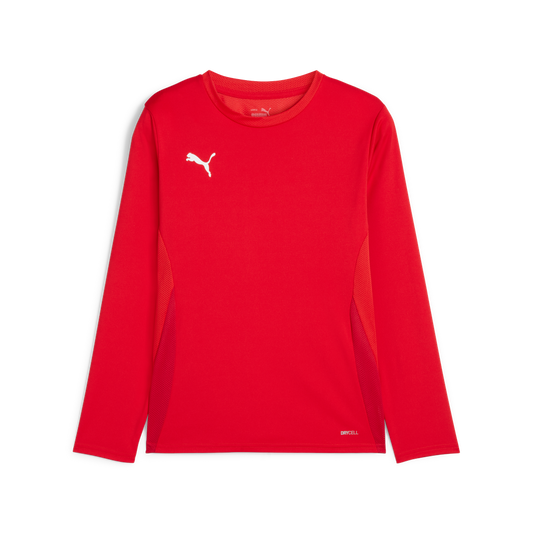 Teamgoal Ls Jersey Jr Rot