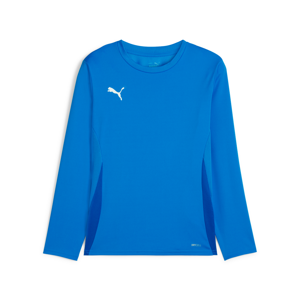 Teamgoal Ls Jersey Jr Blau