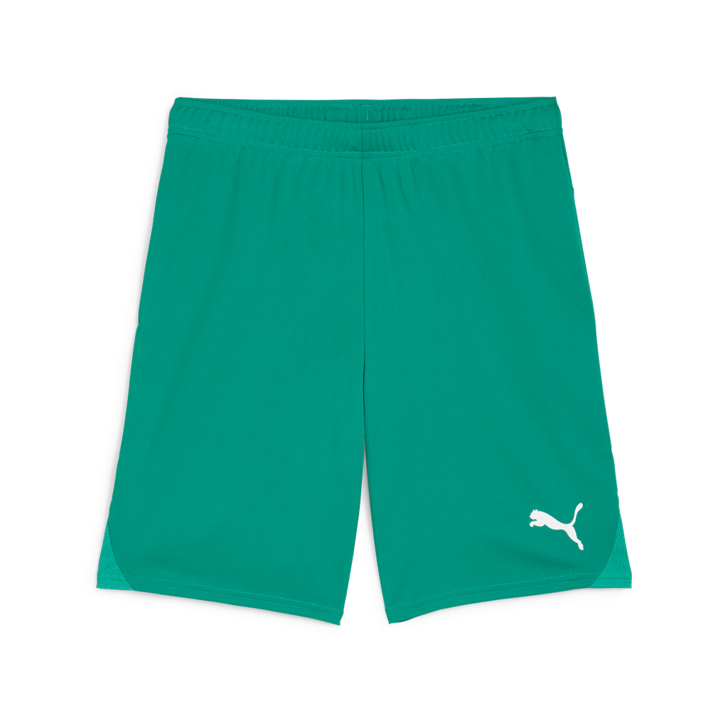 Teamgoal Shorts Grün 05