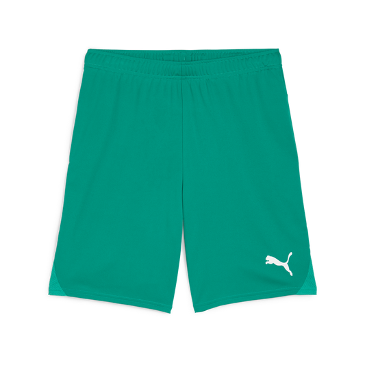 Teamgoal Shorts Grün 05