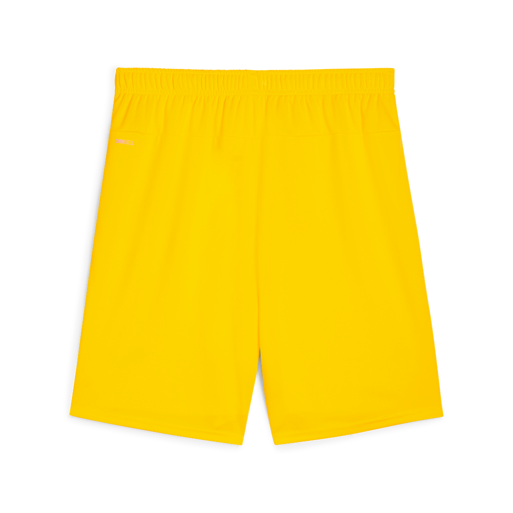 Teamgoal Shorts Gelb 07