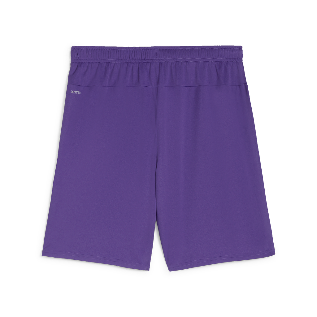 Teamgoal Shorts Lila 10