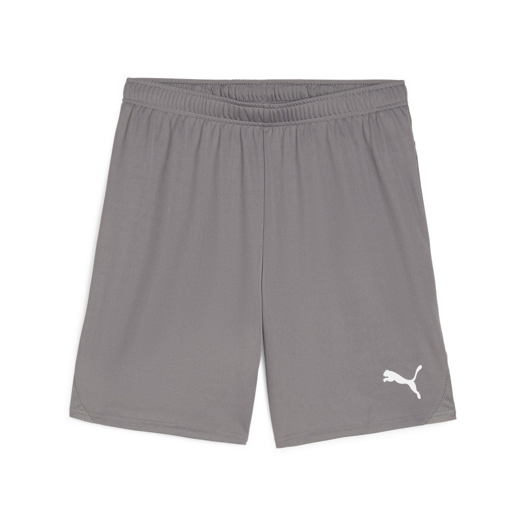 Teamgoal Shorts Grau