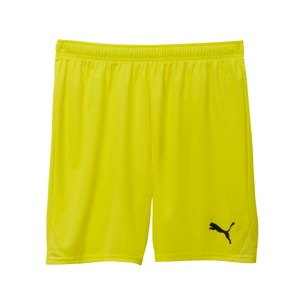 Teamgoal Shorts Gelb 23