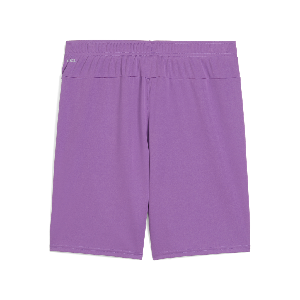 Teamgoal Shorts Lila 33