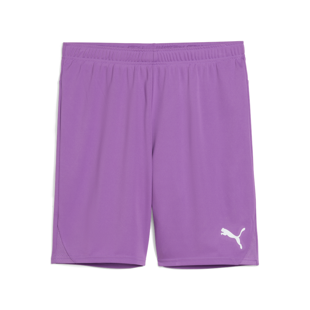Teamgoal Shorts Lila 33