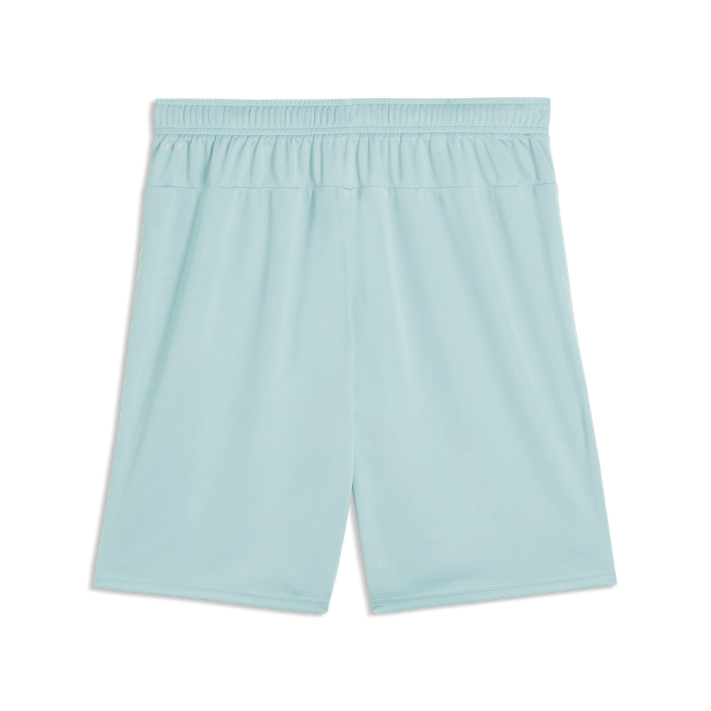 Teamgoal Shorts Grün 41