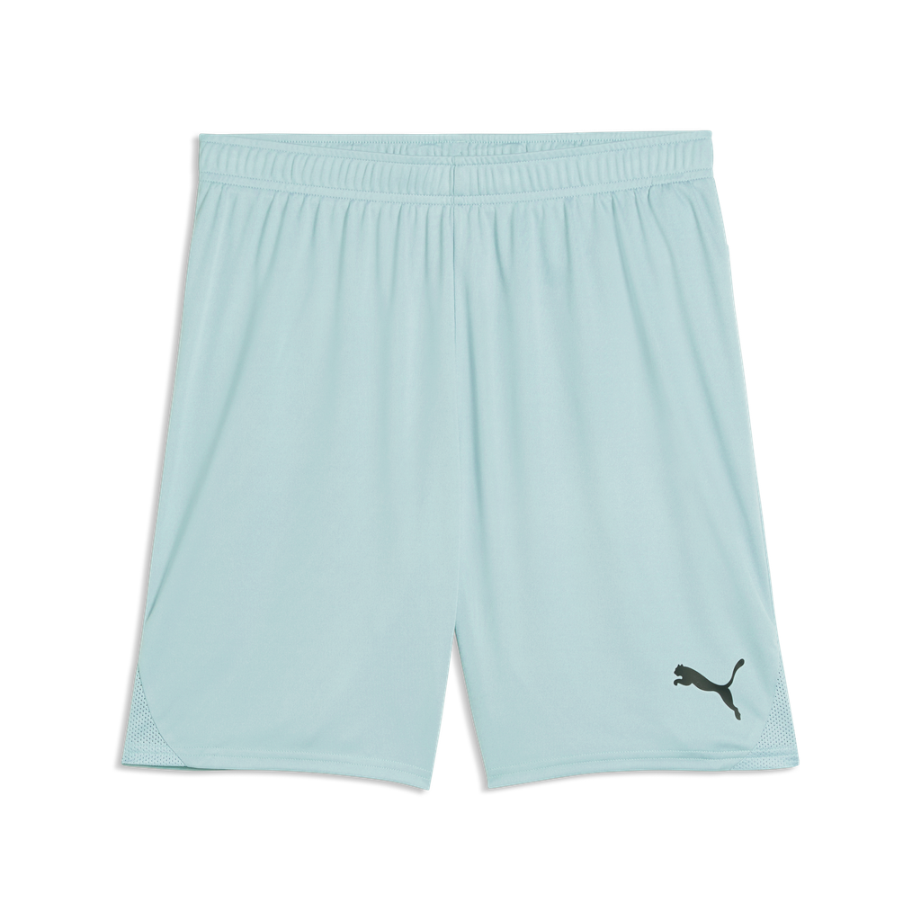 Teamgoal Shorts Grün 41