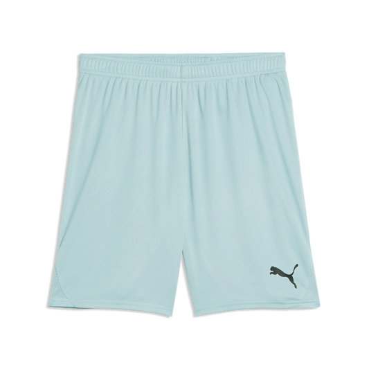 Teamgoal Shorts Grün 41