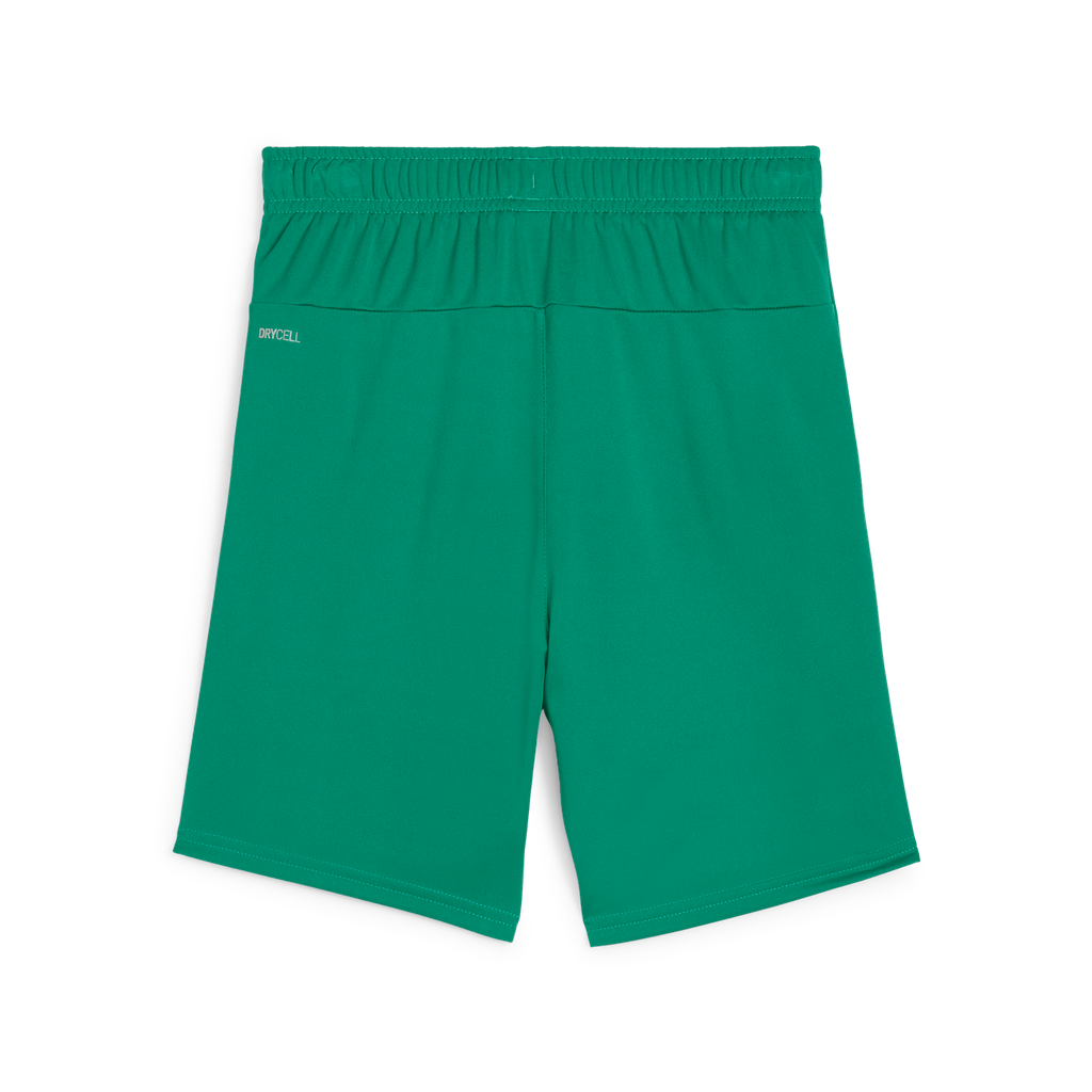 Teamgoal Shorts Jr Pink Grün 05