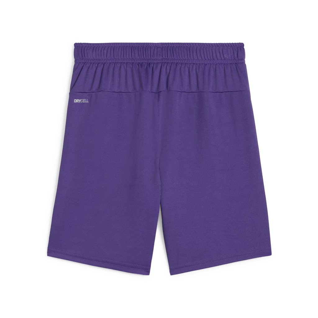Teamgoal Shorts Jr Lila