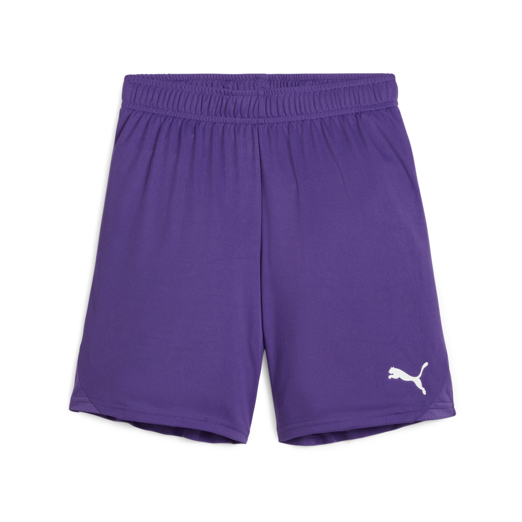 Teamgoal Shorts Jr Lila