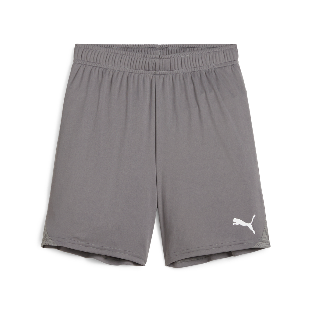 Teamgoal Shorts Jr Grau