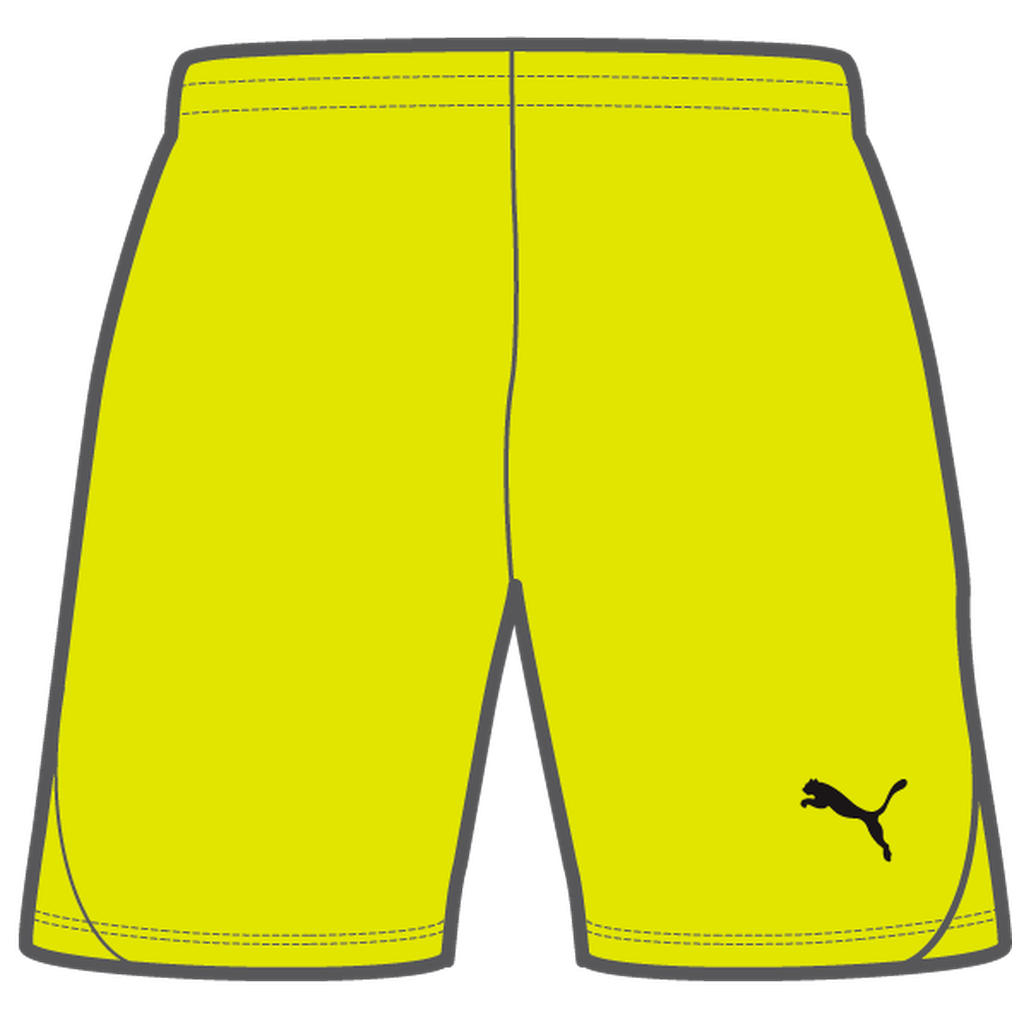 Teamgoal Shorts Jr Gelb