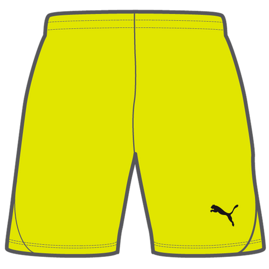 Teamgoal Shorts Jr Gelb