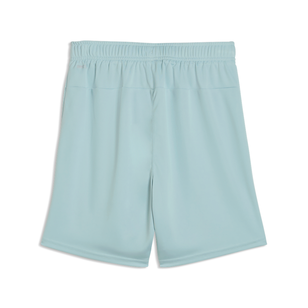 Teamgoal Shorts Jr Pink Grün 41