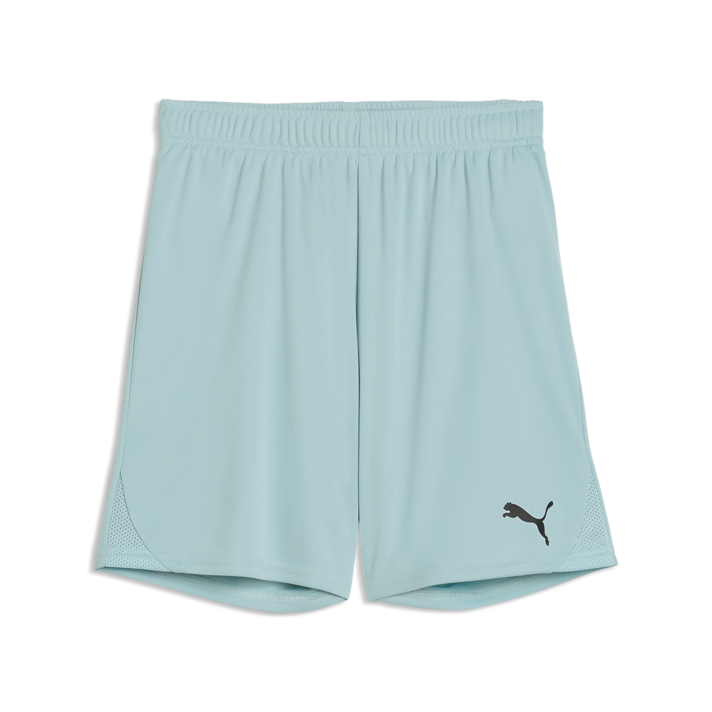 Teamgoal Shorts Jr Pink Grün 41