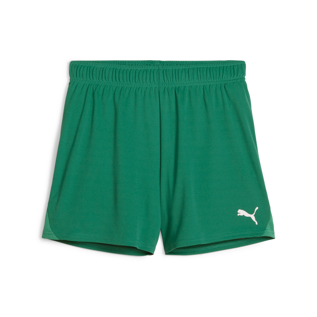Teamgoal Handball Shorts W Grün