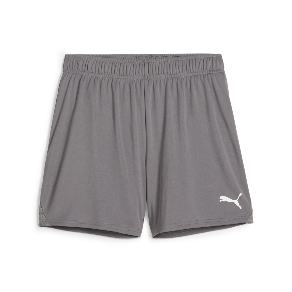 Teamgoal Handball Shorts W Grau