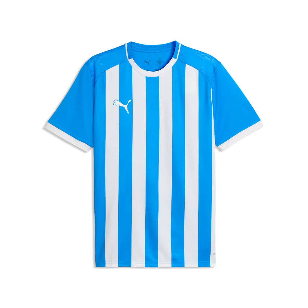 teamLIGA26 Gestreiftes Trikot Blau 02