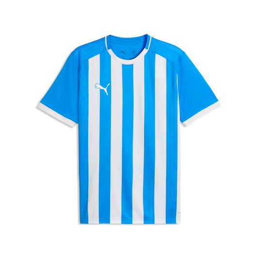 teamLIGA26 Gestreiftes Trikot Blau 02