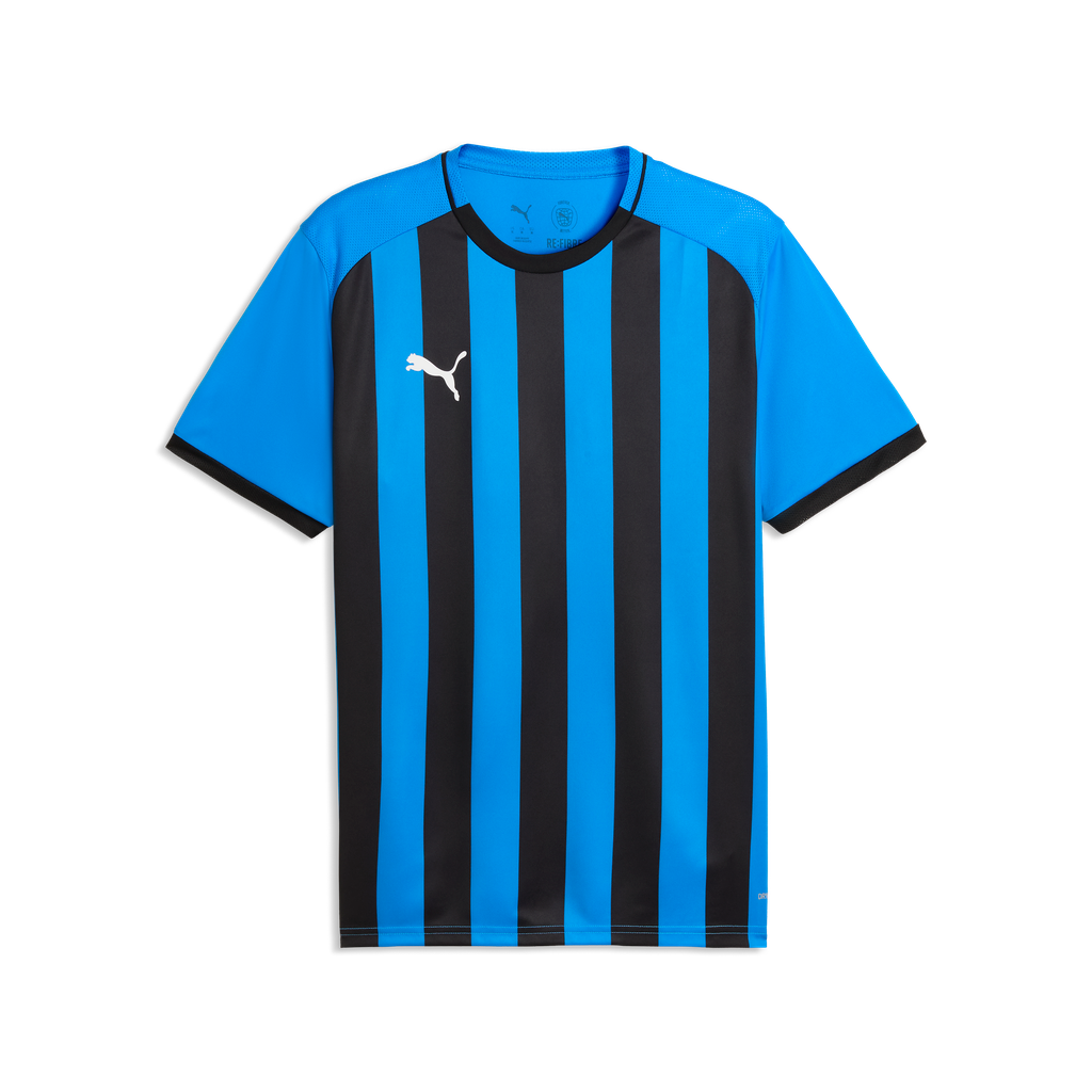 teamLIGA26 Gestreiftes Trikot Blau 12