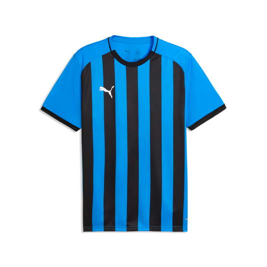 teamLIGA26 Gestreiftes Trikot Blau 12