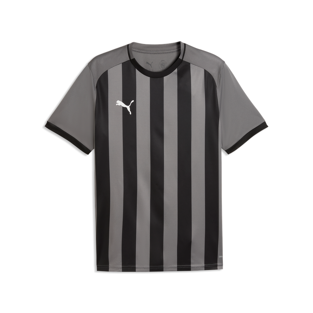 teamLIGA26 Gestreiftes Trikot Grau