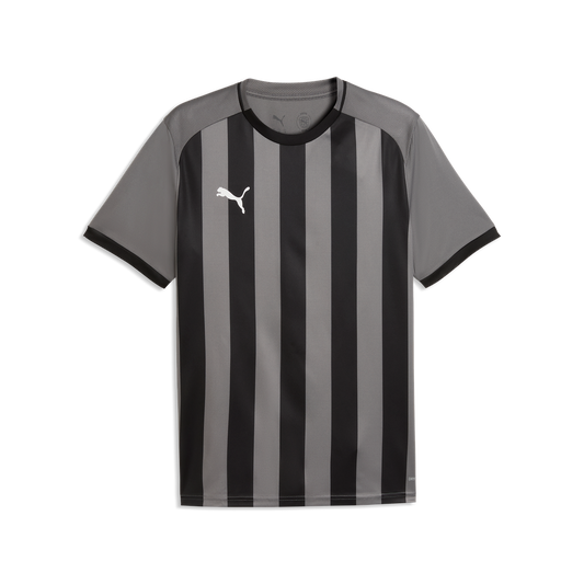 teamLIGA26 Gestreiftes Trikot Grau
