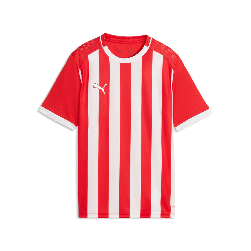 teamLIGA26 Gestreiftes Trikot Jr Rot 01