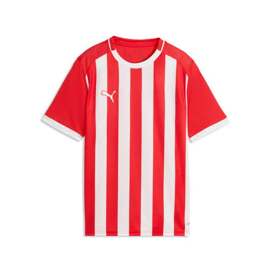 teamLIGA26 Gestreiftes Trikot Jr Rot 01