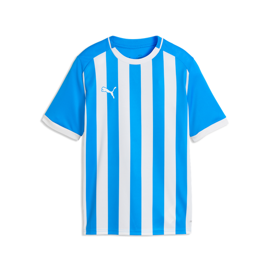 teamLIGA26 Gestreiftes Trikot Jr Blau 02