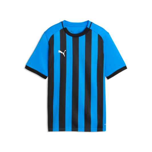 teamLIGA26 Gestreiftes Trikot Jr Blau 12