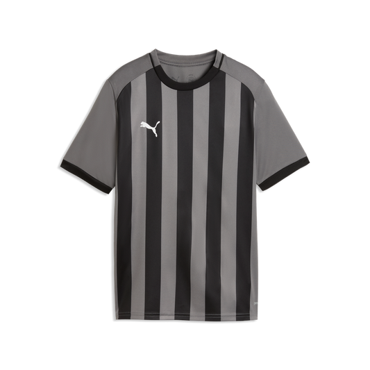 teamLIGA26 Gestreiftes Trikot Jr Grau