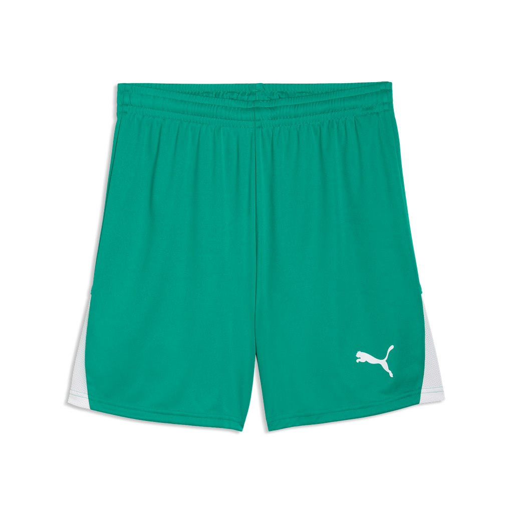 teamLIGA26 Shorts Grün 05