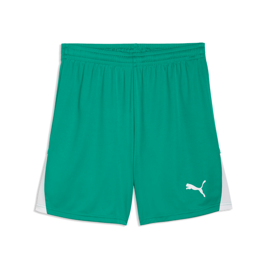teamLIGA26 Shorts Grün 05