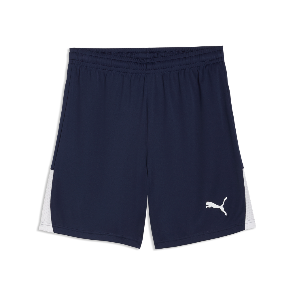 teamLIGA26 Shorts Blau 06